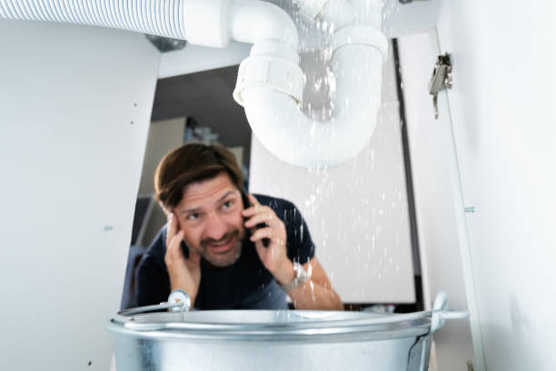 Best Water Softener Installation  in Forestville, CA